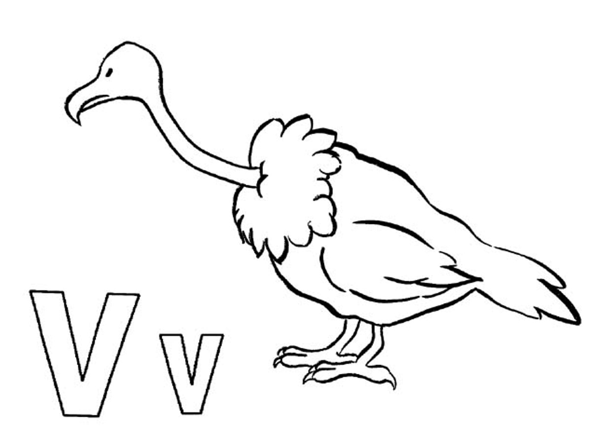 1229x879 Vulture Coloring Page Coloring Page