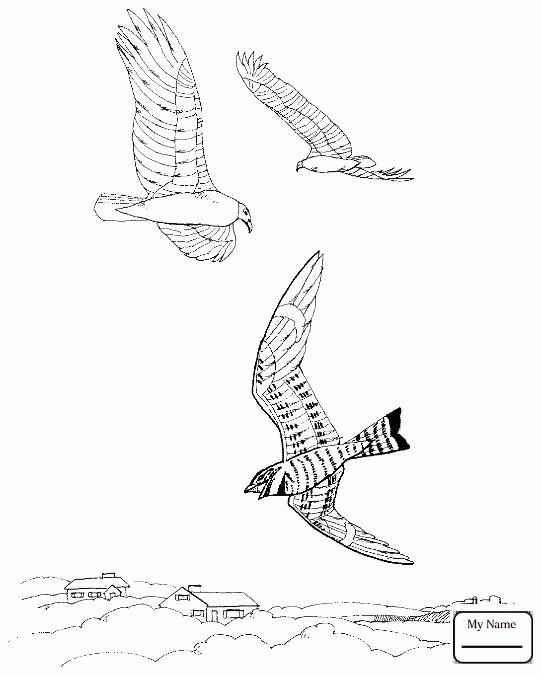 1091x1357 Vultures Birds Turkey Vultures In A Desert Coloring Pages For Kids