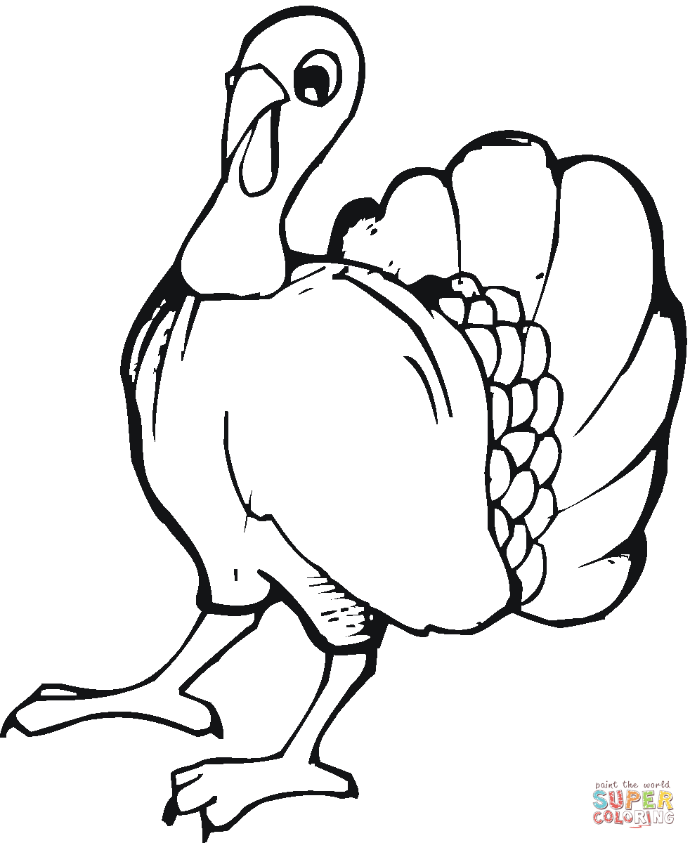 982x1200 Turkey Coloring Pages Free Coloring Pages