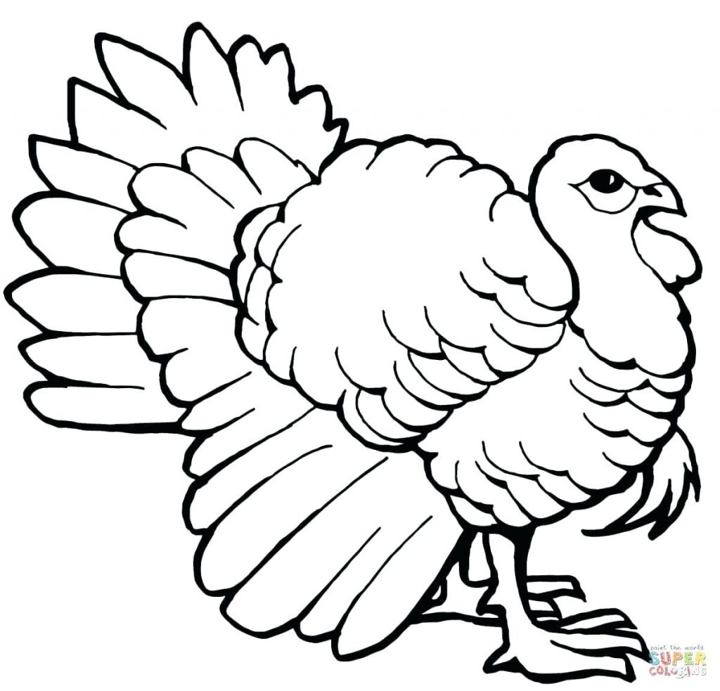 1024x983 Coloring Page ~ Coloring Page Turkey Drawing Outline Printable