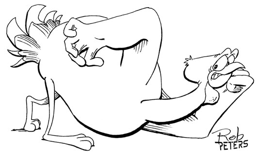 540x318 Daily Drawing Turkey 19