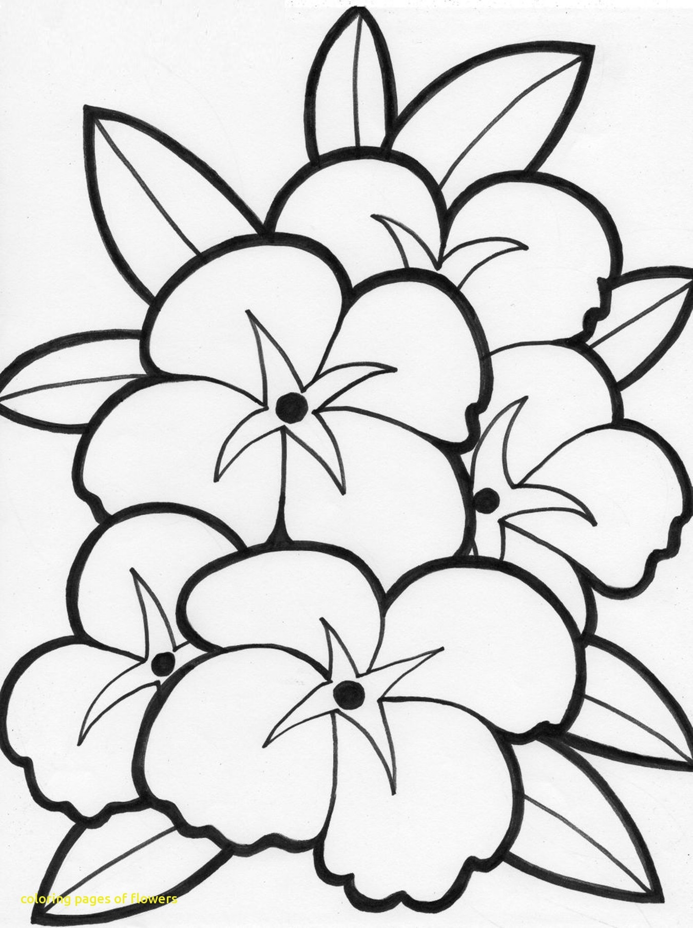 1350x1808 Three Flowers Coloring Pages For Kids Luxury Flowers Drawing Pages