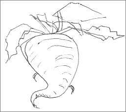 257x228 Rough Sketches