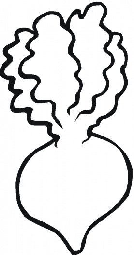 277x525 Turnip 3 Coloring Page Super Coloring Lettuce Turnip The Beet