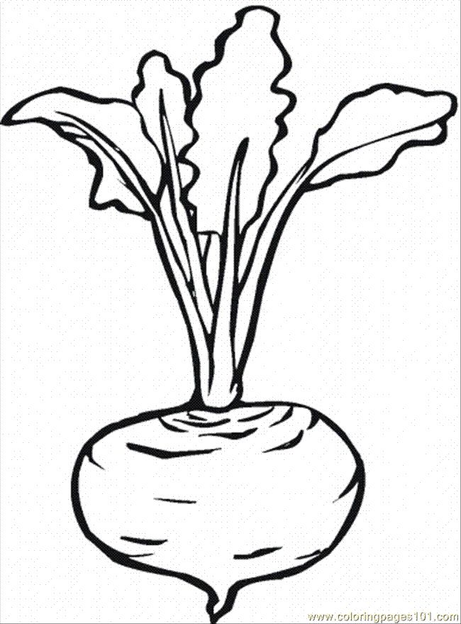 650x879 Turnip Coloring Page Grapes Coloring Page