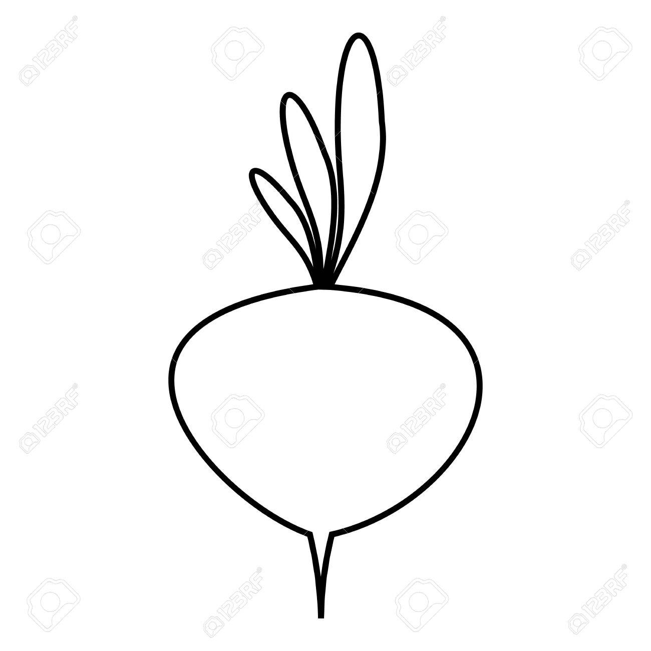 1300x1300 Turnip Icon. Outline Illustration Of Turnip Vector Icon For Web
