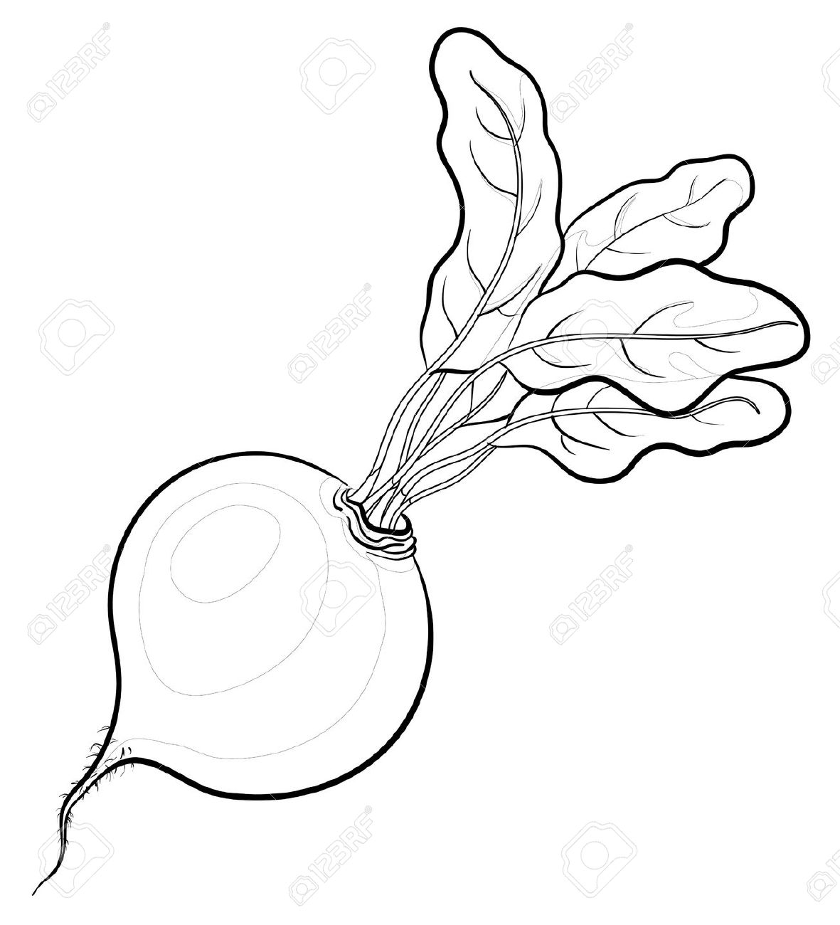 1181x1300 Turnip Clipart Black And White 5 Clipart Station