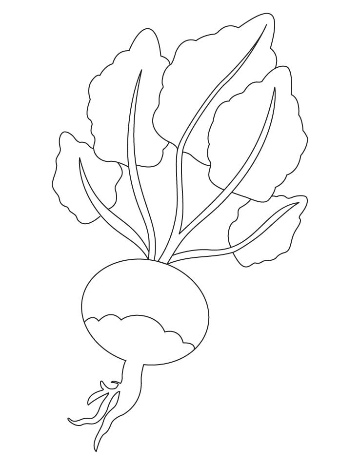 738x954 Red Turnip Coloring Page Download Free Red Turnip Coloring Page