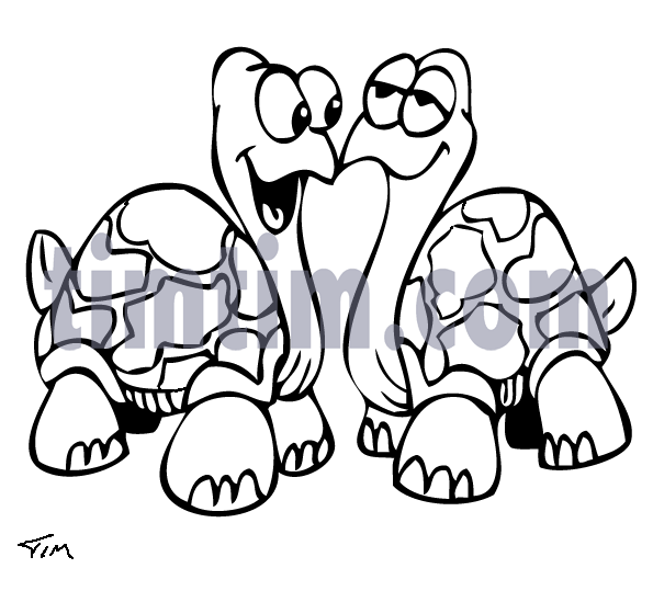 595x539 Free Drawing Of Turtles Bw From The Category Reptiles Dinosaurs