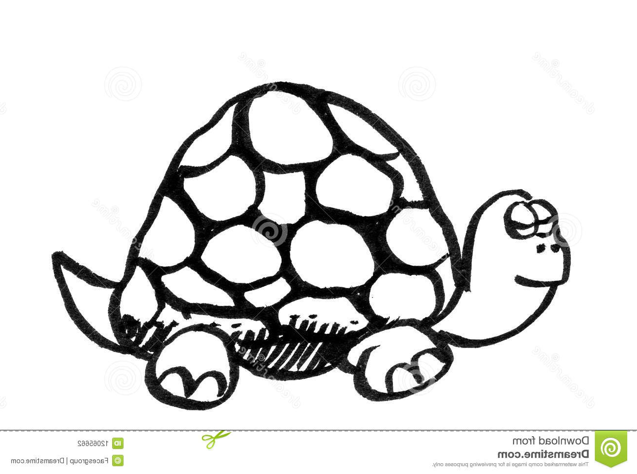 1300x967 How To Draw A Cute Cartoon Turtle From Letter P Shapes Easy Step