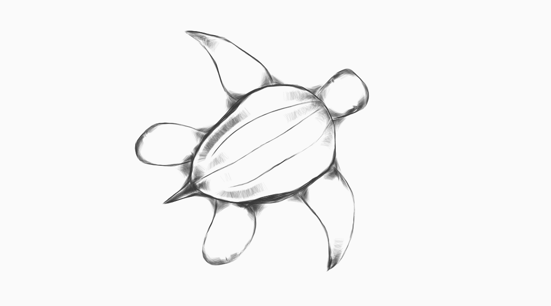 1080x600 Related Pictures How To Draw A Sea Turtle Cartoon Step 8 Cute