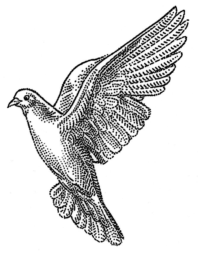 669x859 On The Second Day Of Christmas