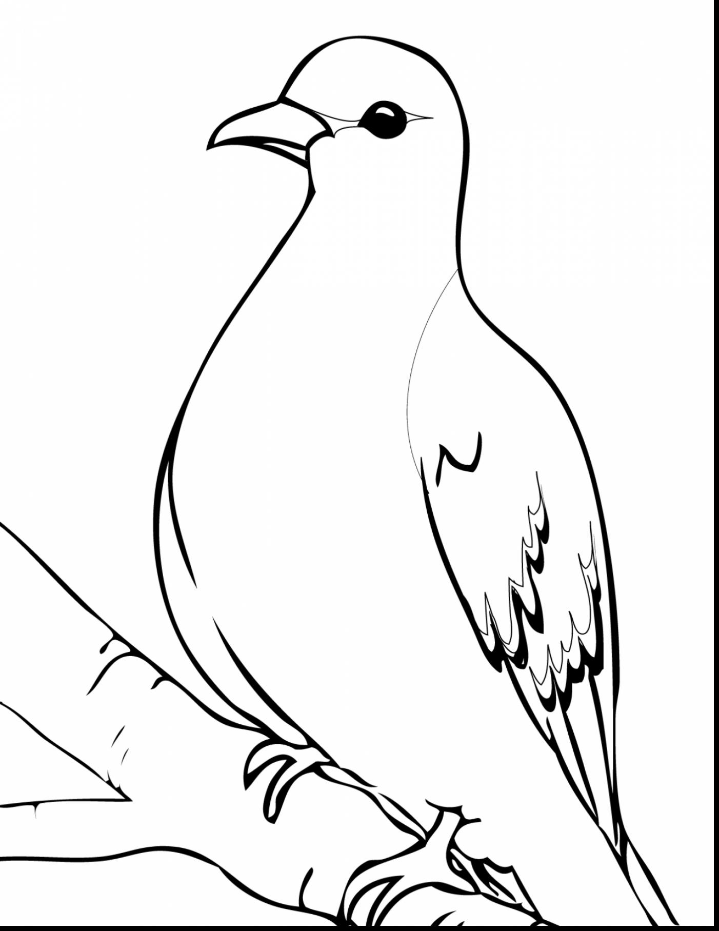 1402x1815 Fantastic Dove Coloring Page
