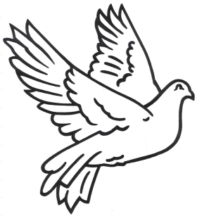 280x307 Drawings Of Dove Clipart