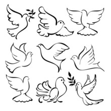 220x220 Abstract Dove Sketch Set Vector Illustration Laser And Print