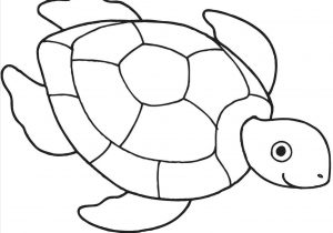300x210 The Images Collection Of Sea Easy Drawings Turtle Drawing Simple