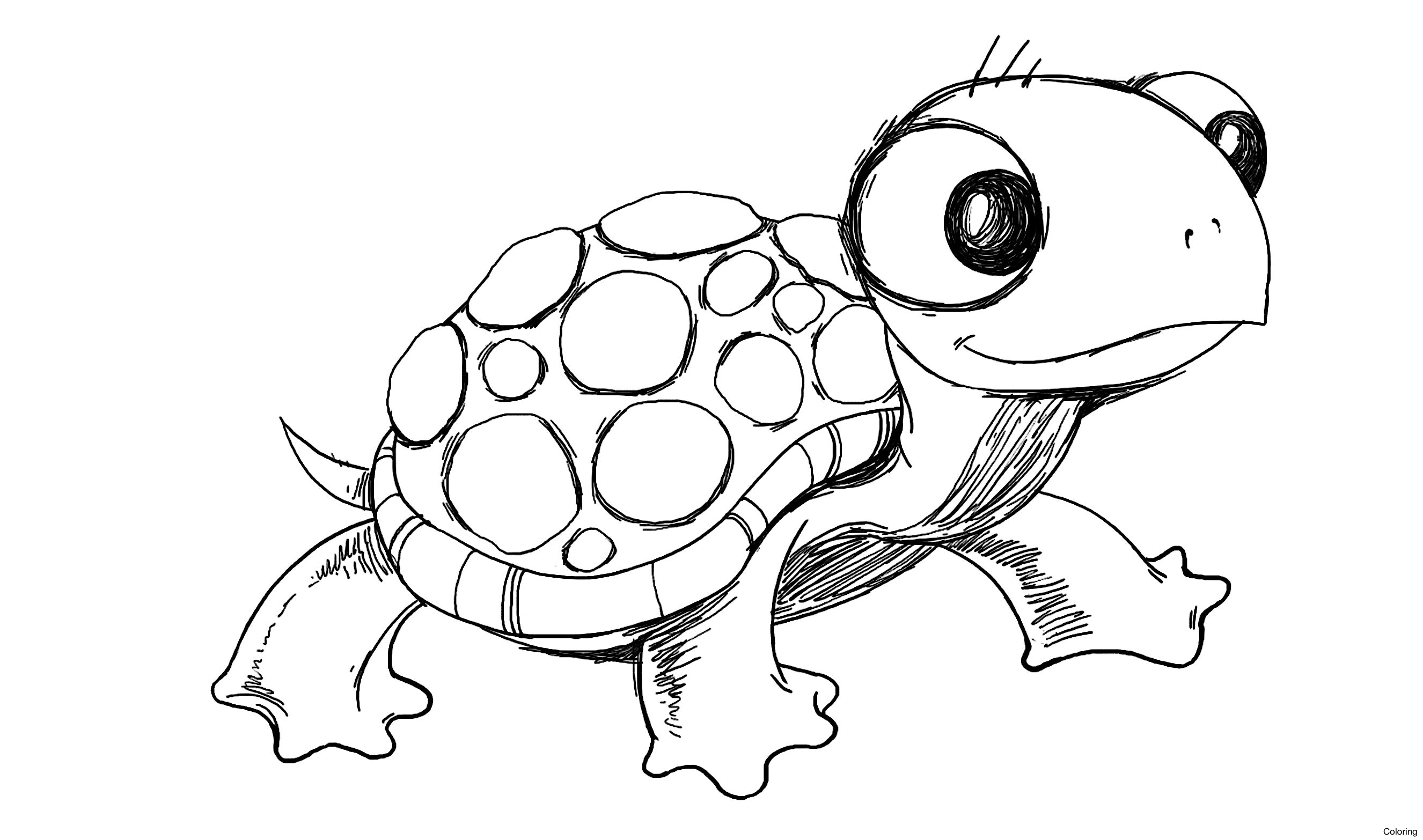 Cartoon Drawing Of Turtle at PaintingValley.com | Explore collection of ...