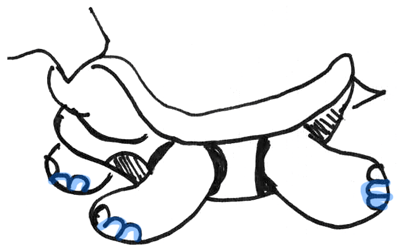 400x248 How To Draw Cartoon Turtles With Easy To Follow Drawing Lesson