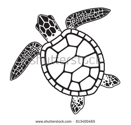 450x429 Coloring Pages Turtle Drawings Easy Disney Drawing Coloring