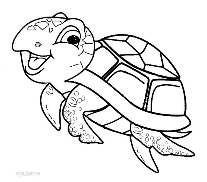 687x604 Coloring Pages Coloring Pages Draw A Turtle Decorative Colouring
