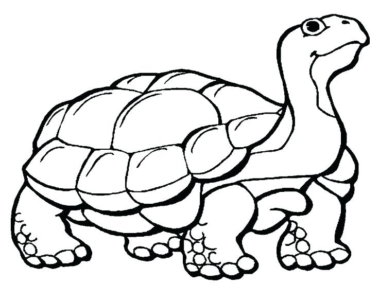 736x552 New Kids Drawing Coloring Pages For Best Turtle Coloring Pages