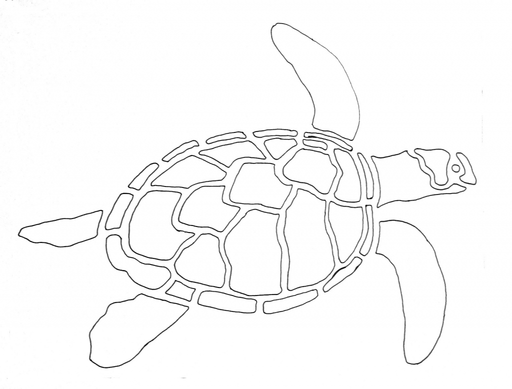 1024x778 Simple Turtle Drawing Turtle Outline Coloring Pages For Kids