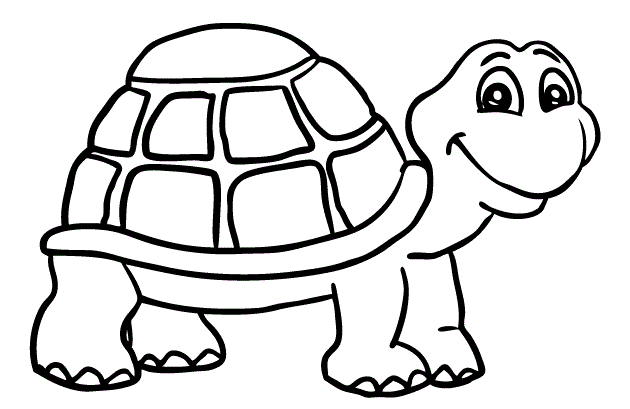 Turtle Drawing For Kids at GetDrawings | Free download