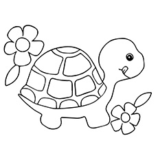 230x230 Coloring Pages Turtle Printable For Fancy Page Flowers Small