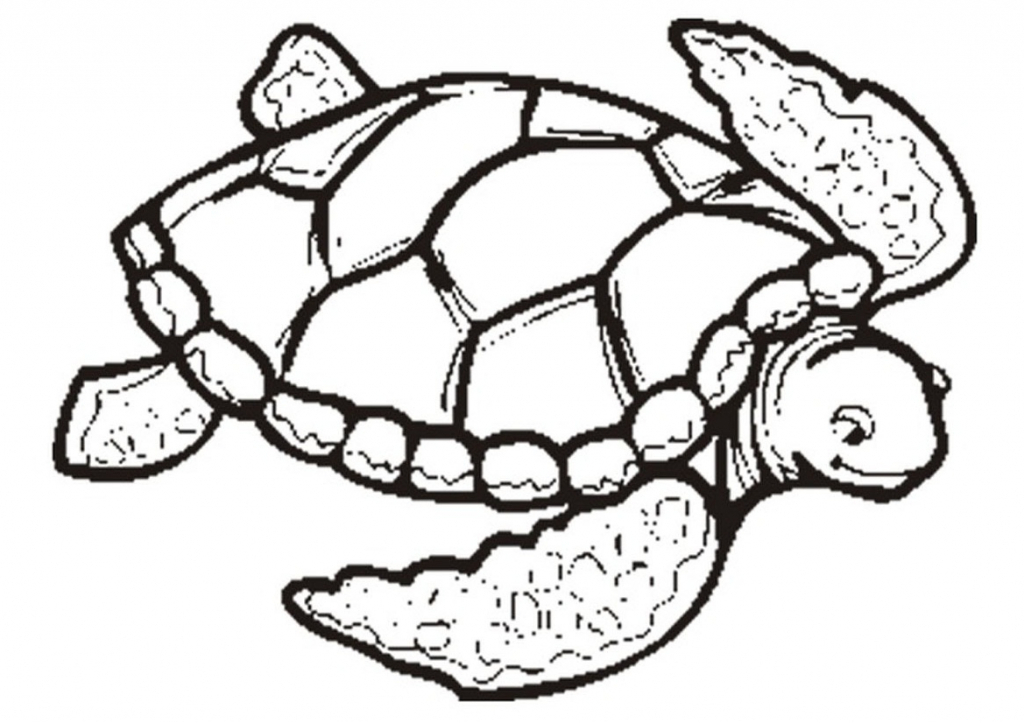 1024x723 Simple Sea Turtle Drawing Coloring Pages Of Sea Turtles