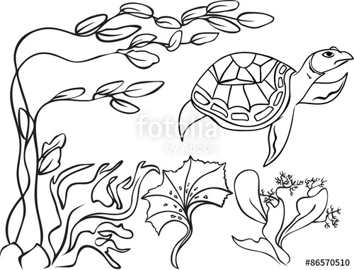 500x381 Sketch Natatorial Turtle In Underwater World Stock Image