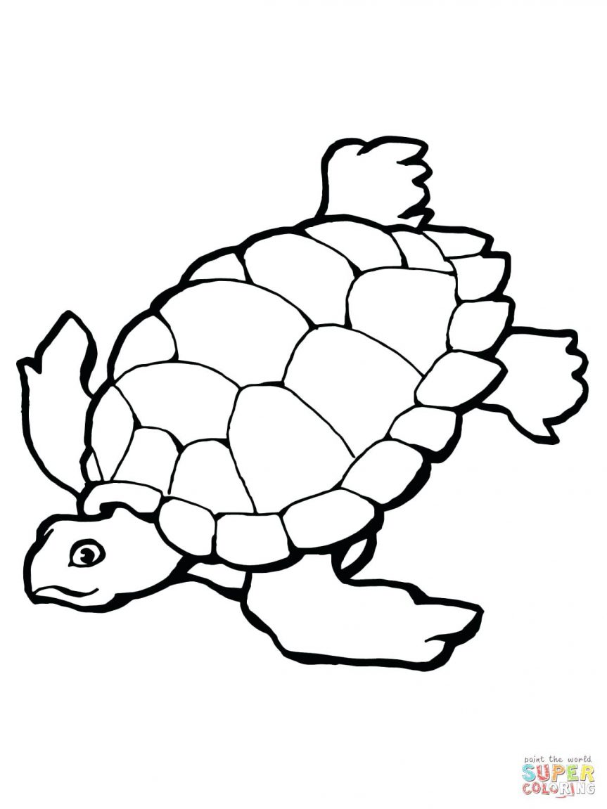 863x1151 Swimming Sea Turtle Coloring Page Free Printable Pages Within