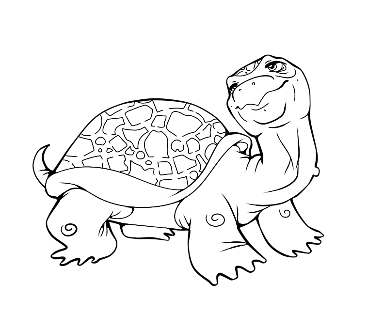 792x648 Coloring Pages Draw A Turtle Turtles Drawing Inside Coloring Pages