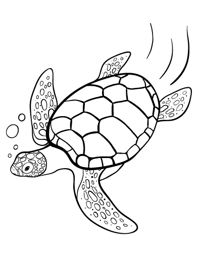 392x507 Printable Turtle Coloring Page. Free Pdf Download