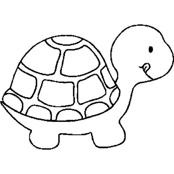 Turtle Drawing Outline at GetDrawings | Free download