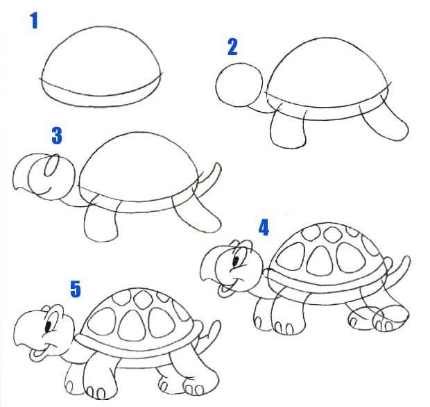 620x586 How To Draw A Turtle Kids Turtle, Drawings And Doodles