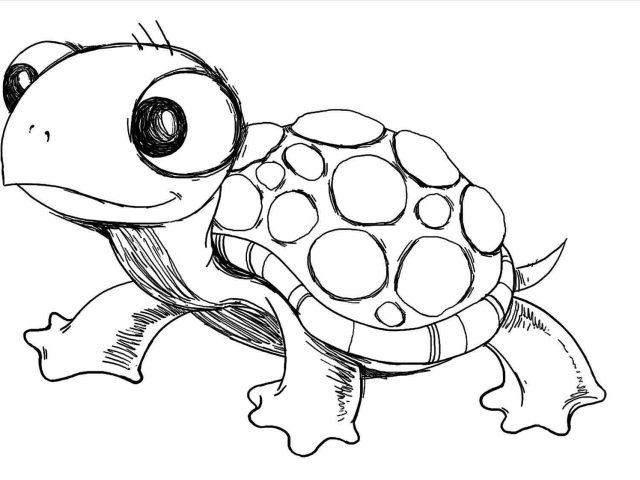 640x480 The Images Collection Of Drawing A Stepbystep Lessons