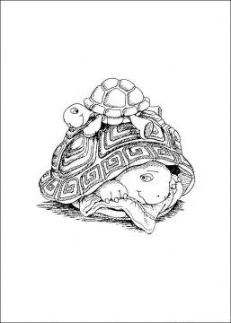 257x360 Real Sea Turtles Swimming In Water Turtle Coloring Pictures