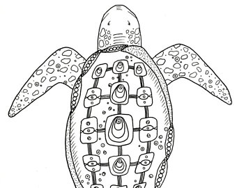 340x270 Turtle Drawing Etsy
