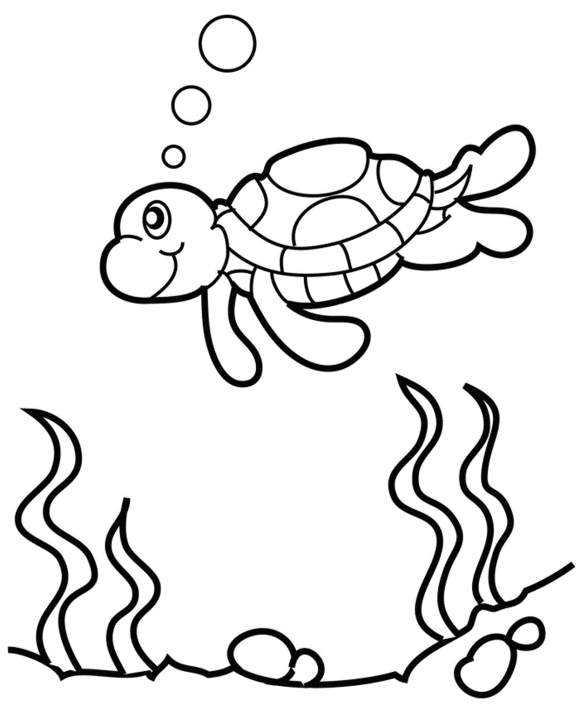 580x706 Drawn Sea Turtle Turtle Swimming