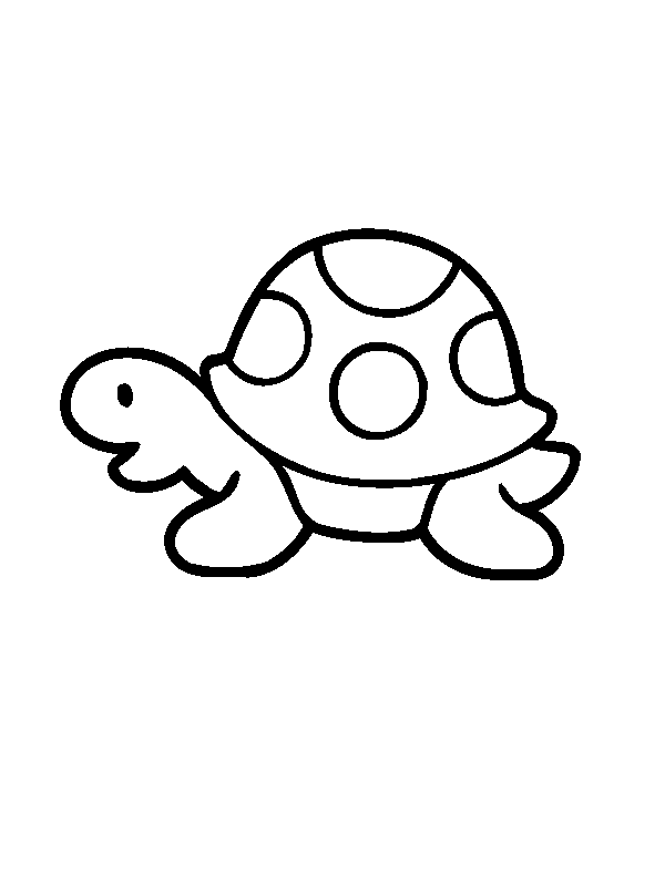 600x800 Simple Turtle For Eas Turtle