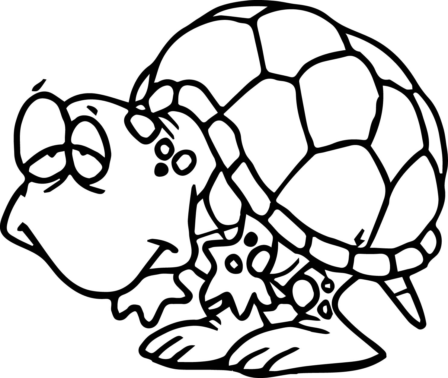 1484x1254 Slow Tortoise Turtle Coloring Page Wecoloringpage