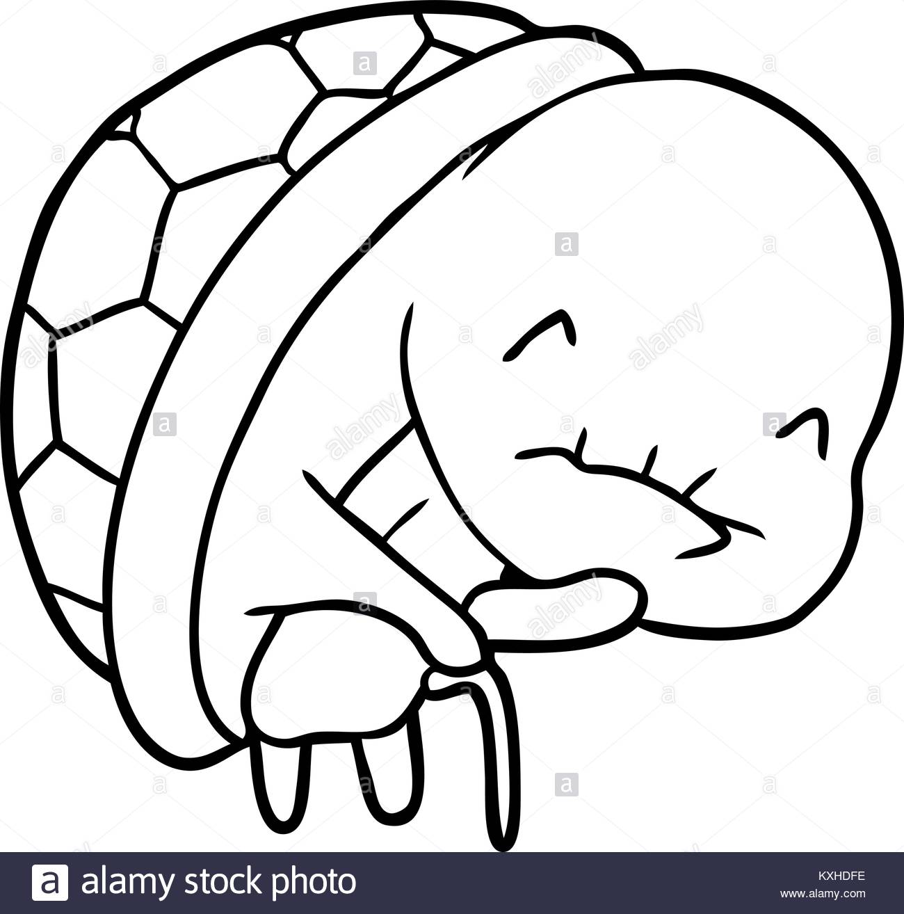 1300x1314 Turtle Drawing Stock Photos Amp Turtle Drawing Stock Images