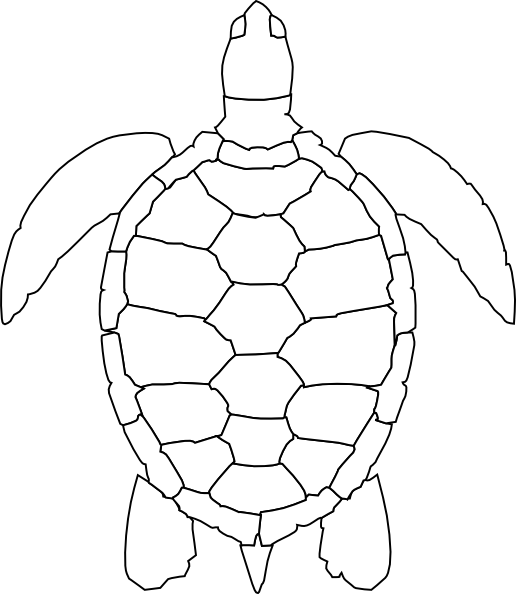 516x594 Turtle Outline Clip Art