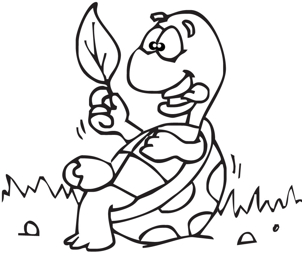 987x837 Turtle Sitting Muck Out Productions