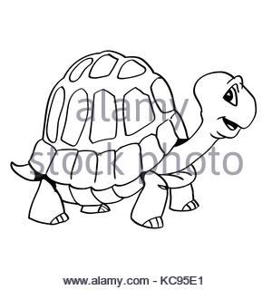 300x320 Turtle Cartoon Stock Photo, Royalty Free Image 72698806