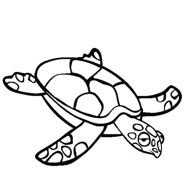 618x630 Turtle Coloring Pages To Print Swimming Turtle Coloring Pages