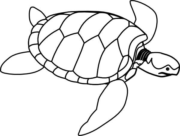 600x452 Turtle Outline Clip Art