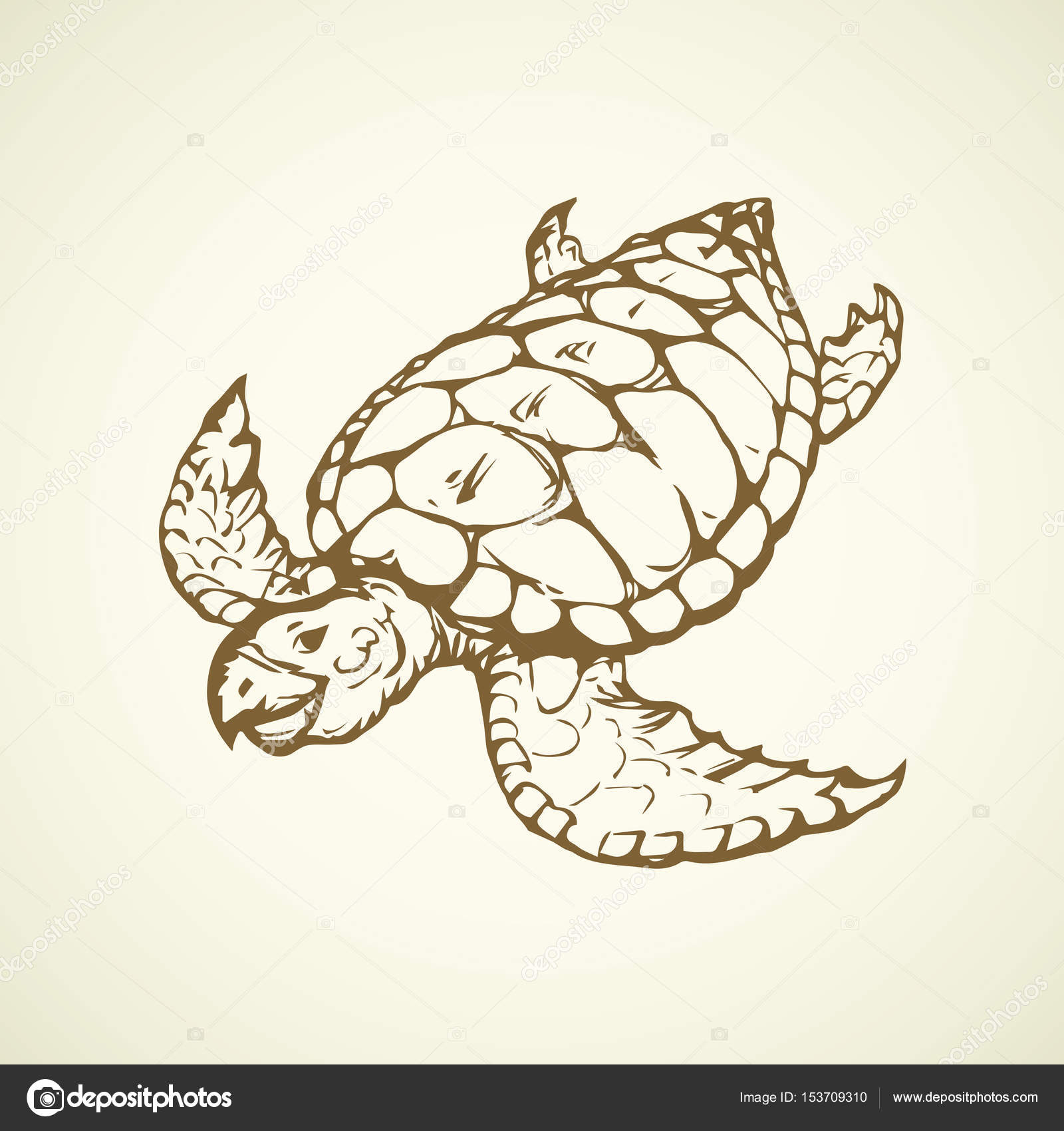 1600x1700 Turtle. Vector Drawing Stock Vector Marinka