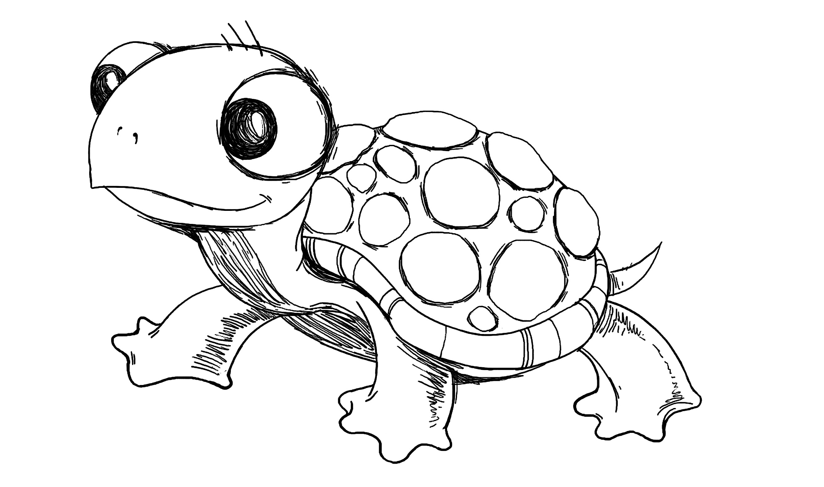 2652x1566 How To Draw Cartoon Turtle
