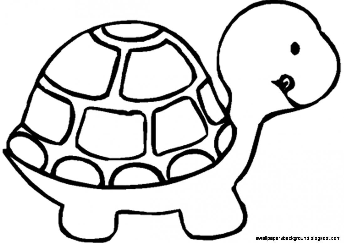 1098x776 Turtle Pencil Drawing Wallpapers Background